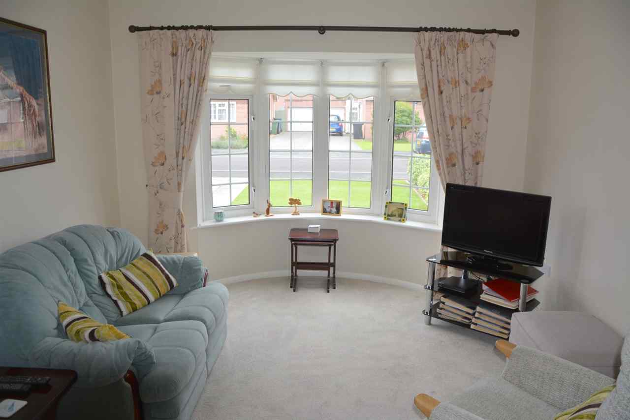 resized-2349823-DSC_9405 (Large).JPG